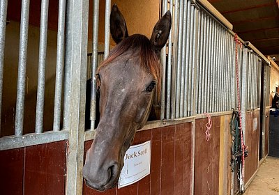 2022 10 18 Av Jack IMG 1955