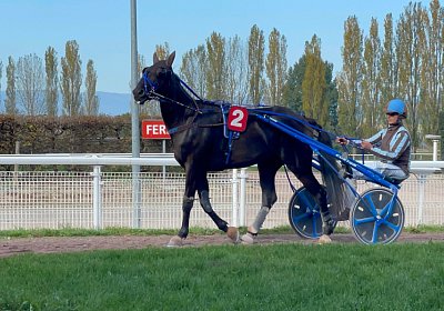 2022 10 18 Av Jack IMG 1985