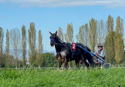 2022 10 18 Av Jack K IMG 1994