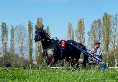 2022 10 18 Av Jack K IMG 1995