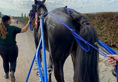 2022 10 18 Av Jack K IMG 2002