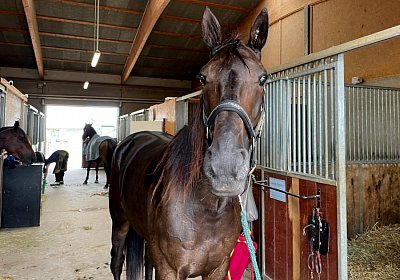 2022 10 18 Av Jack L IMG 2007