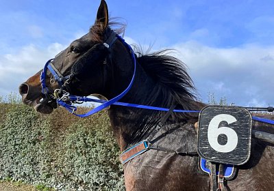 2022 11 22 Av B IMG 3553 Black