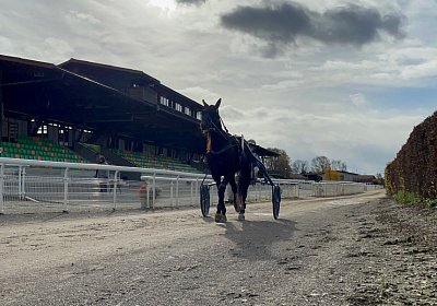 2022 11 22 Av D IMG 3580 Jack