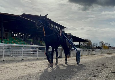 2022 11 22 Av D IMG 3582 Jack