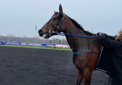 2022 12 18 Divina Vincennes Z IMG 4865