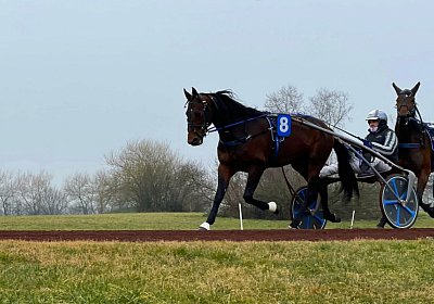 2023 03 03 Av D IMG 7486 Alcide