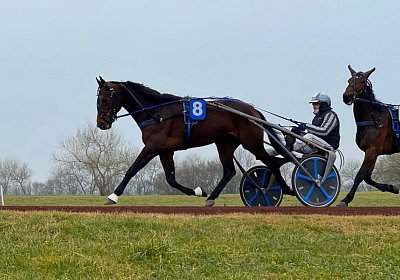 2023 03 03 Av D IMG 7489 Alcide