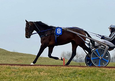 2023 03 03 Av D IMG 7492 Alcide