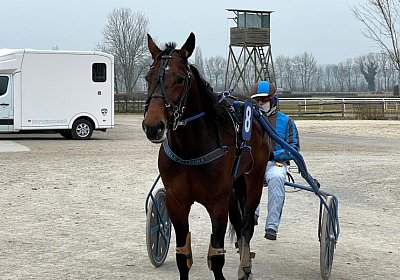 2023 03 03 Av E IMG 7559 Alcide