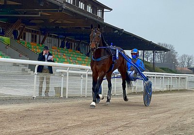 2023 03 03 Av O IMG 7601 Alcide