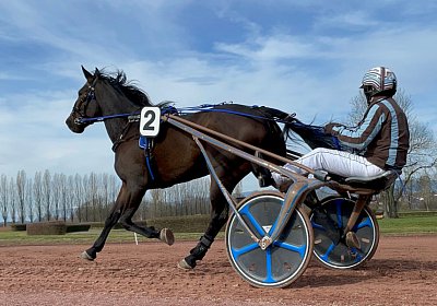 2023 03 17 Av L IMG 8139 Maggiore