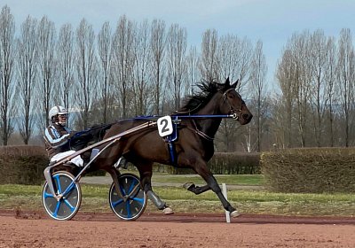 2023 03 17 Av L IMG 8145 Maggiore