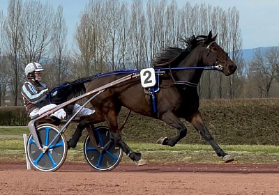 2023 03 17 Av L IMG 8146 Maggiore