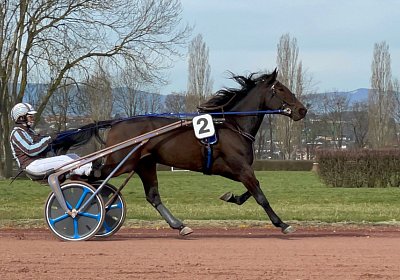 2023 03 17 Av L IMG 8149 Maggiore
