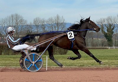 2023 03 17 Av L IMG 8151 Maggiore