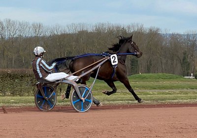 2023 03 17 Av L IMG 8155 Maggiore