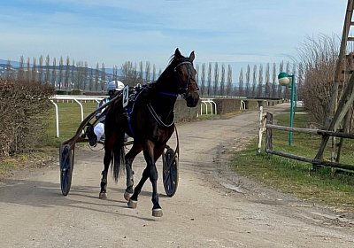 2023 03 17 Av L IMG 8157 Maggiore