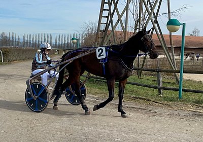 2023 03 17 Av L IMG 8160 Maggiore