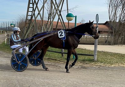2023 03 17 Av L IMG 8162 Maggiore