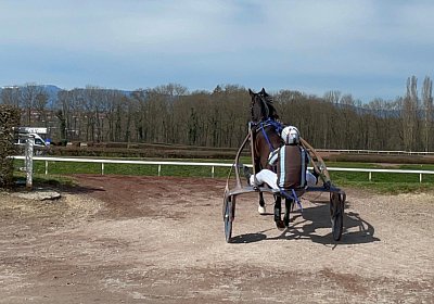 2023 03 17 Av L IMG 8191 Maggiore
