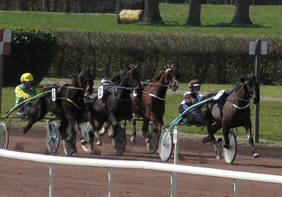 2023 03 17 Av L S7030011 Maggiore