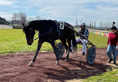 2023 03 17 Av M IMG 8195 Maggiore