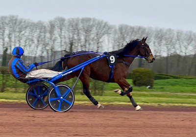 2023 03 25 Av A IMG 8684 Ina