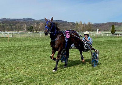 2023 04 10 Frauenfeld G IMG 9573 Jack
