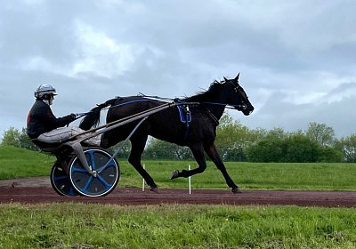 2023 04 29 Avenches IMG 0840 Maggiore