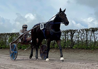 2023 04 29 Avenches IMG 0872 Maggiore