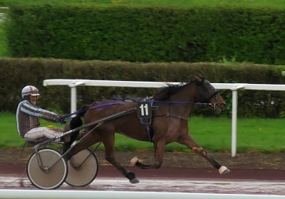2023 04 29 Avenches S7260011 Jackpot