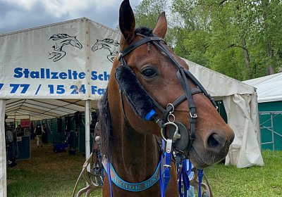 2023 05 14 Aarau IMG 1575 Alcide