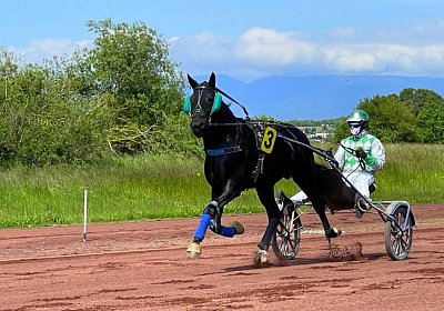 2023 05 19 Avenches C IMG 1853 King