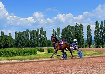 2023 06 16 Av A IMG 3471 Alcide