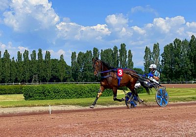 2023 06 16 Av A IMG 3472 Alcide