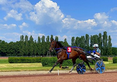 2023 06 16 Av A IMG 3473 Alcide
