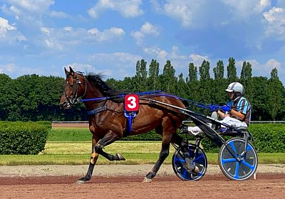 2023 06 16 Av A IMG 3474 Alcide