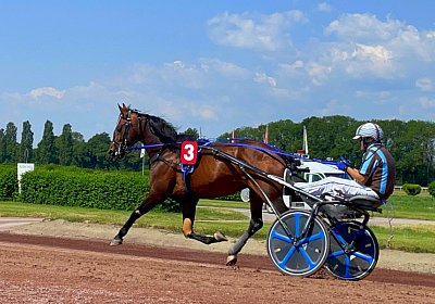 2023 06 16 Av A IMG 3478 Alcide