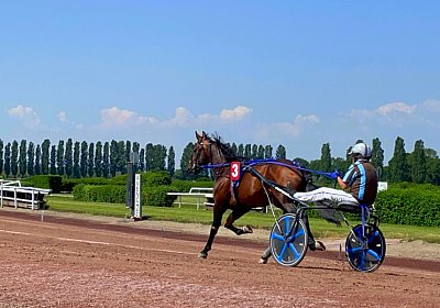 2023 06 16 Av A IMG 3481 Alcide