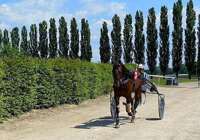 2023 06 16 Av A IMG 3485 Alcide