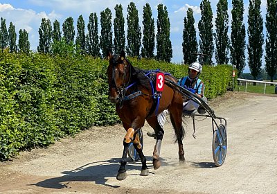 2023 06 16 Av A IMG 3487 Alcide