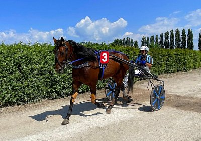 2023 06 16 Av A IMG 3489 Alcide