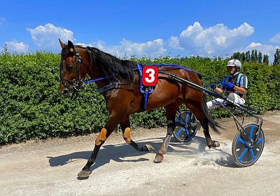 2023 06 16 Av A IMG 3490 Alcide
