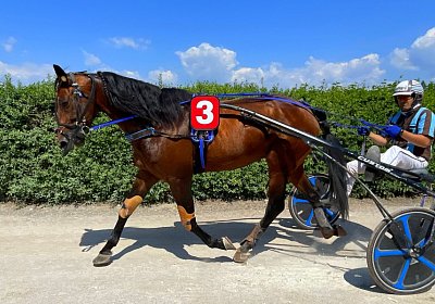 2023 06 16 Av A IMG 3491 Alcide
