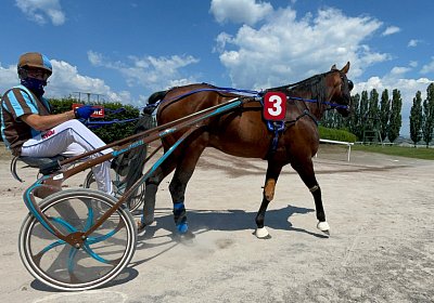 2023 06 16 Av K IMG 3540 Alcide