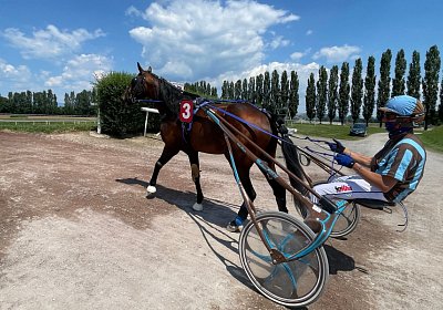 2023 06 16 Av K IMG 3546 Alcide