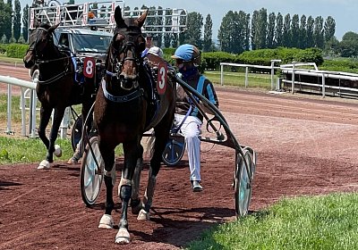 2023 06 16 Av K IMG 3558 Alcide Maggiore