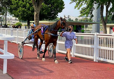 2023 06 17 Enghien M IMG 3736 Divina