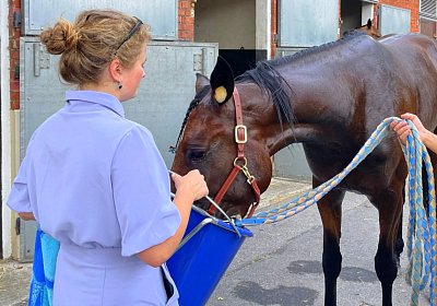 2023 06 17 Enghien M IMG 3748 Divina